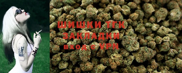ALPHA PVP Богородицк