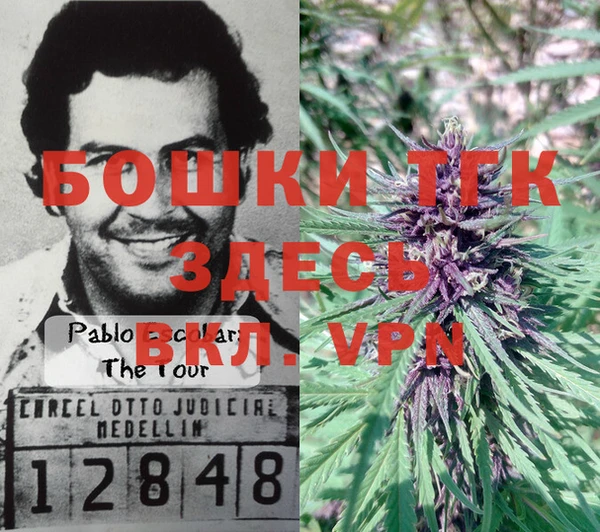 ALPHA PVP Богородицк