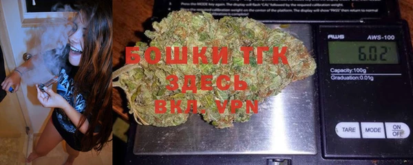 соль ск Богородск