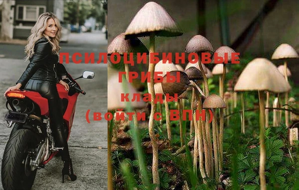 каннабис Богданович