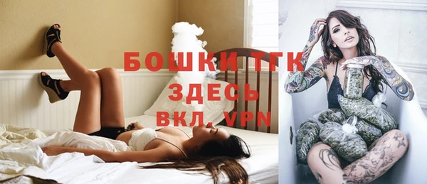 ALPHA PVP Богородицк
