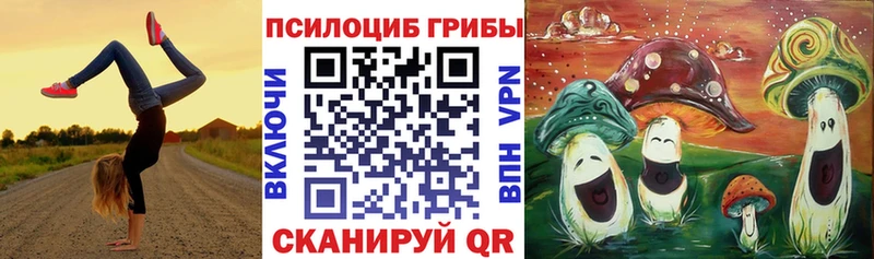 Купить закладки Соликамск Псилоцибиновые грибы Magic Shrooms